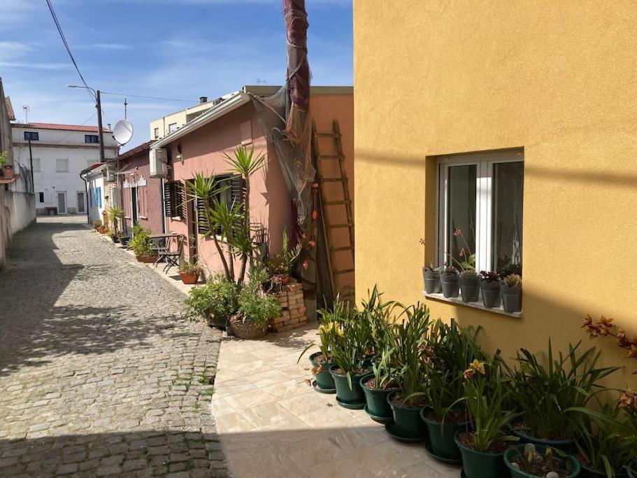 Casa Nova *